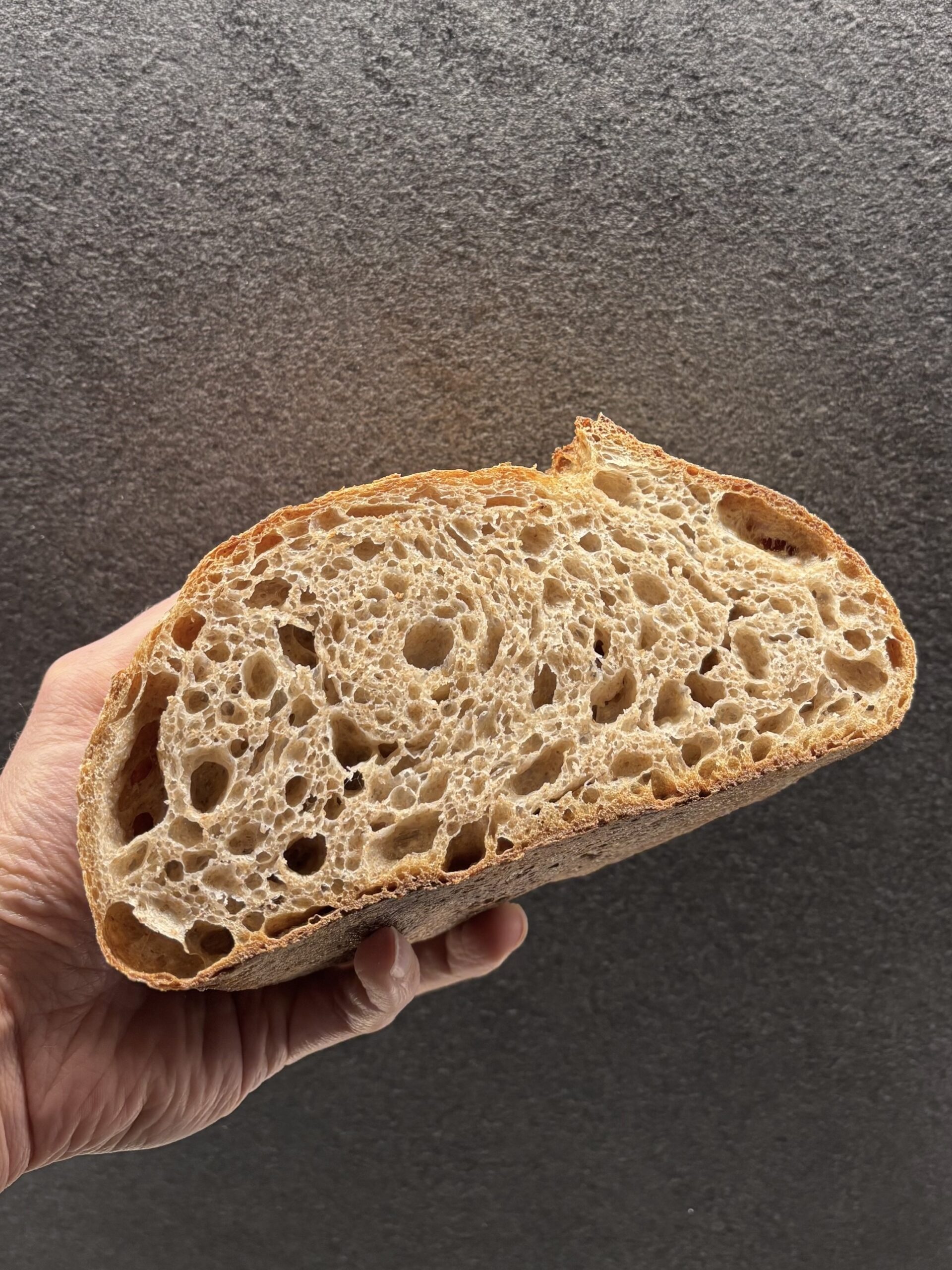 pane integrale